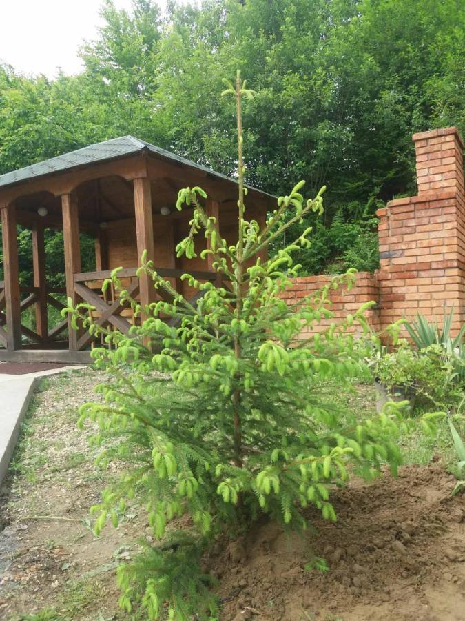 Villa Na Uzlissi Migovo Exterior foto